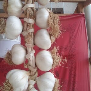 TAŞKÖPRÜ SARIMSAĞI EXTRA(DUBLE) BOY