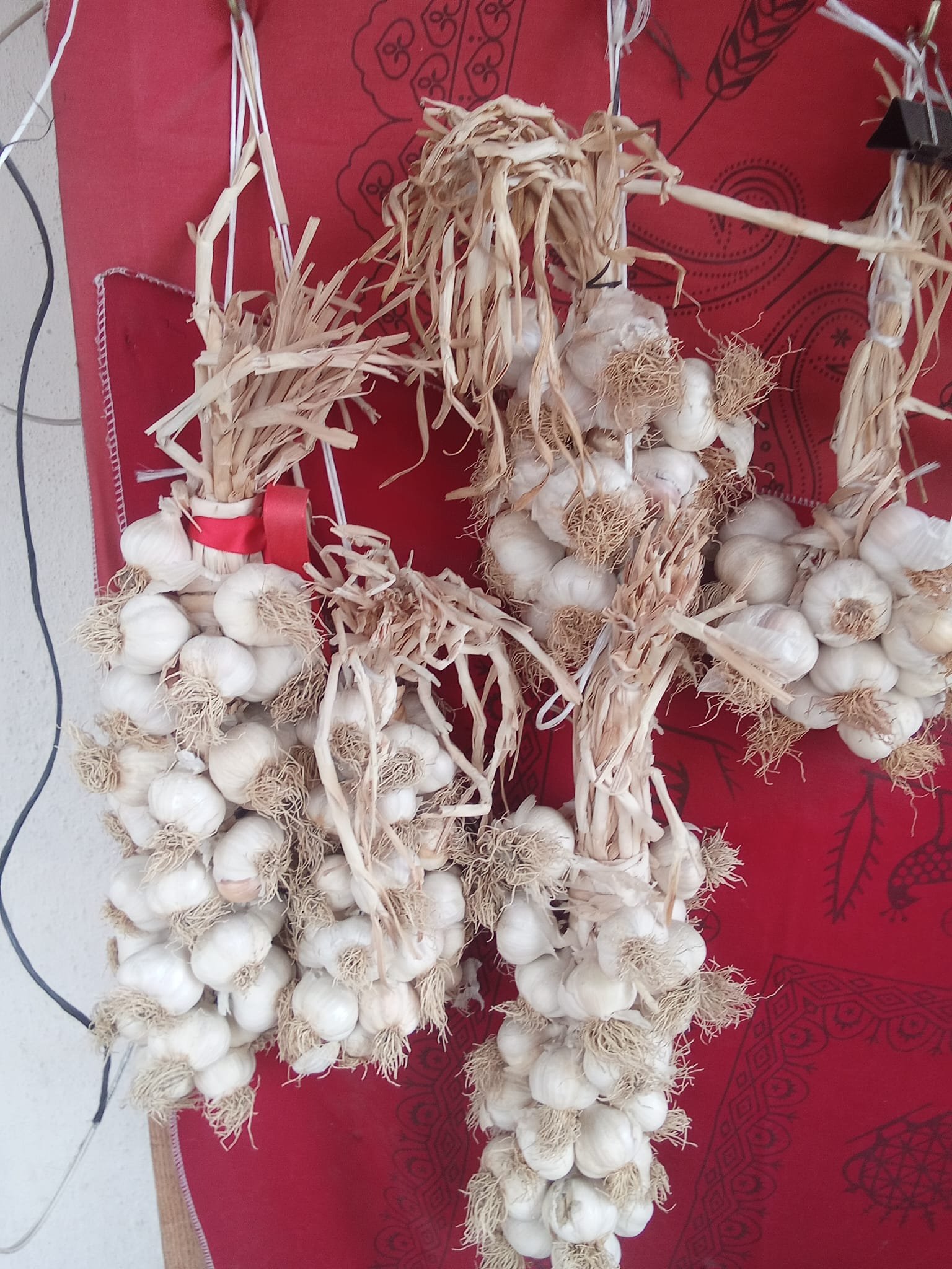 TAŞKÖPRÜ SARIMSAĞI ORTA BOY 1KG